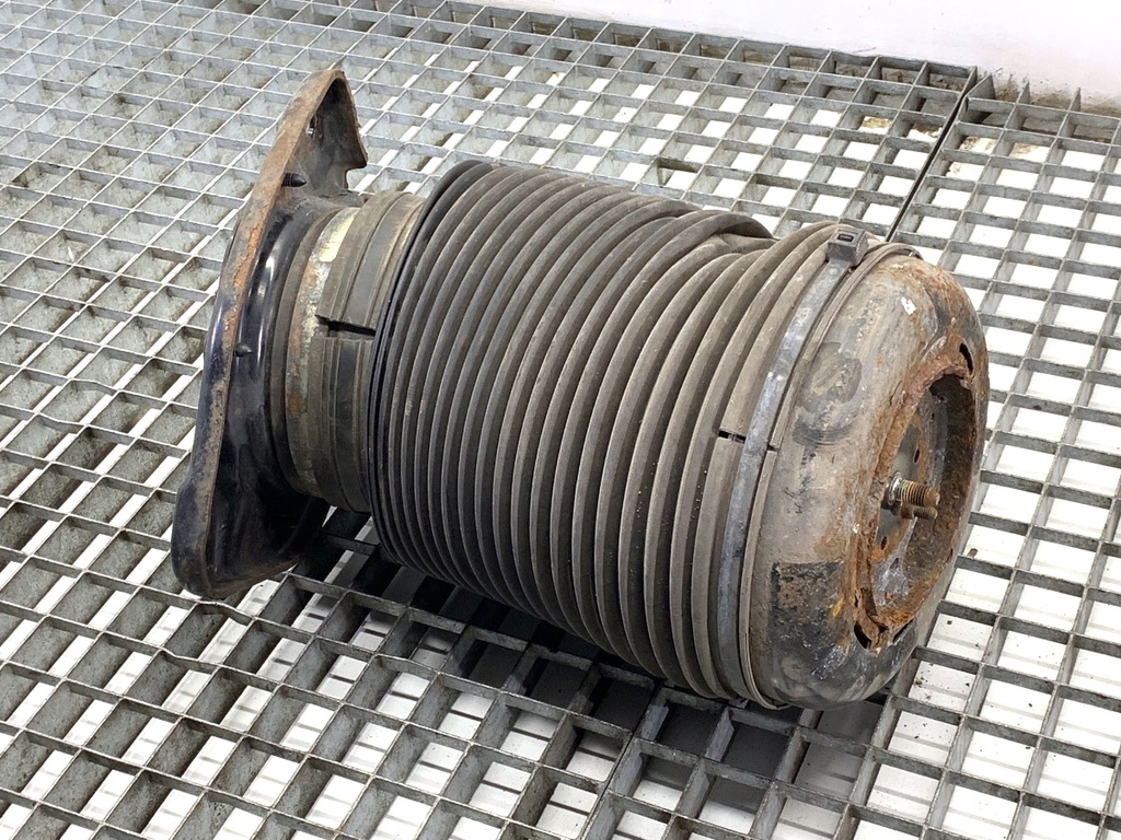 [STARK-898484] Suspensión neumática trasera derecha LEXUS RX (_L1_) 2008-2015