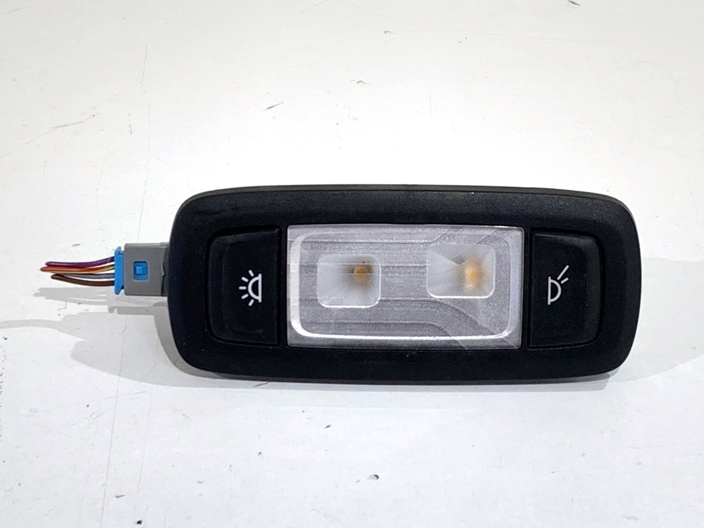 [STARK-889091] Luz de techo BMW X5 (G05)