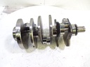 Cigüeñal Audi A4 B6 / A6 C5 / Passat 2.5 TDI BAU