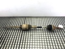 Semiárbol delantero derecho Nissan Qashqai / Qashqai+2 I (J10/NJ10/JJ10E) 2006-2014 1.5 dCi