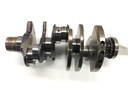Cigüeñal Audi A6 C6 Avant (4F5) 3.0 TDI quattro 2004-2011
