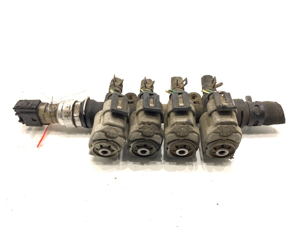 [STARK-787137] Inyector de GLP Citroën C4 Grand Picasso I 2.0 i 16V 103 kW 140 CV E09320019
