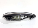 Manilla exterior de puerta delantera derecha VW Phaeton (3D1-3D9) 2002-2016