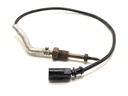 Sensor de temperatura de combustible Ford Tourneo Connect / Grand Tourneo Connect V761 2.0 EcoBlue 2022-