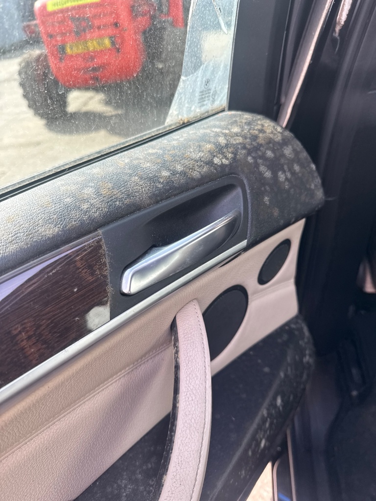 [EPE-106164] Tirador de puerta trasero interior izquierdo BMW X5 E70 2011 475 BLACK