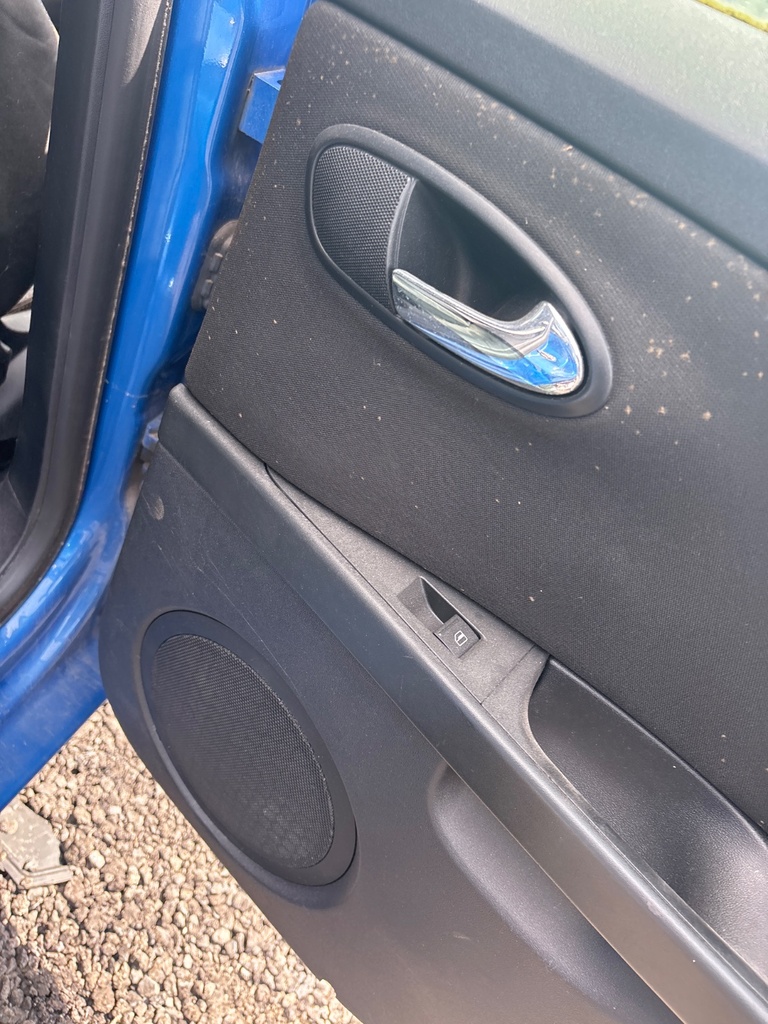 [EPE-111421] Tirador interior puerta trasera derecho Seat Leon 2010