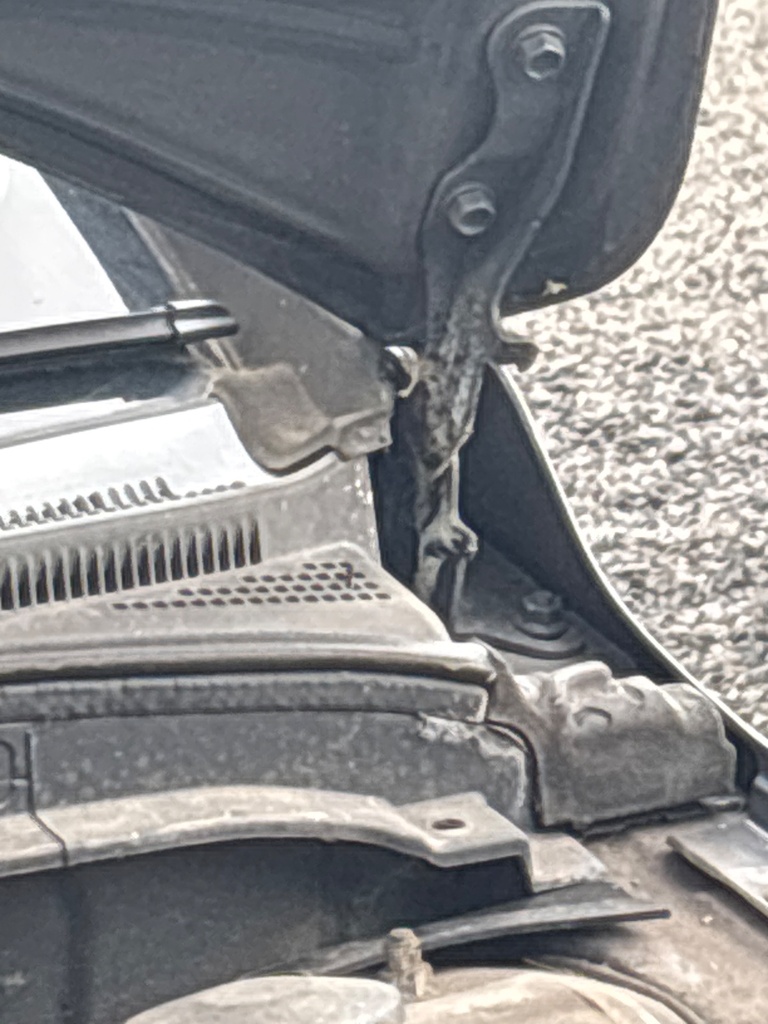 [EPE-112204] Bisagra del capó RH Hyundai i30 2010
