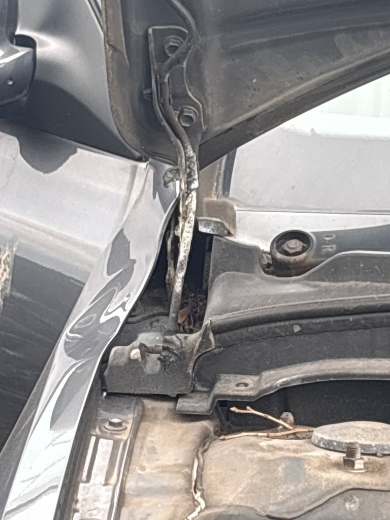 [EPE-112203] Bisagra del capó LH Hyundai i30 2010 G4FA