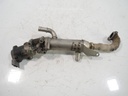 Enfriador de gases de escape Jaguar S-Type X200 2.7 D 7G AJTDV6