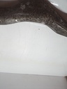 Brazo de control BMW F80 F30 Serie 3 330d N57D30A N57