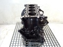 Bloque motor Nissan X-Trail II (T31) 2.0 dCi 110 kW M9R832