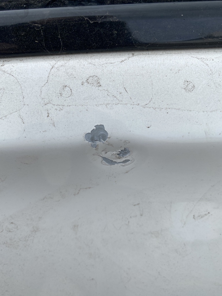 [EPE-101117] Puerta delantera derecha BMW Serie 3 325d