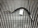 Mando de aire acondicionado Nissan Qashqai II (J11, J11_) 2013-2022
