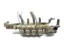 Inyector de gas LPG REF 67R-017064
