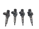 Juego de inyectores VW Touran (1T1, 1T2) 2.0 TDI 103 kW 2005-2010