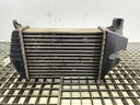 INTERCOOLER OPEL ZAFIRA / ZAFIRA FAMILY B (A05) 1.9 CDTI 2005-2019