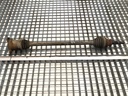 Semieje trasero derecho SUZUKI SX4 (EY, GY) 1.9 DDiS 4x4 2006-2022
