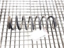 Muelle helicoidal trasero VW Tiguan (5N_) 2.0 TFSI 4motion 125 kW 2007-2018