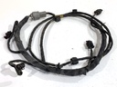 Mazo de sensores PDC delantero para RENAULT KOLEOS I (HY_) 2.0 dCi 4x4 150 CV 2008-2022