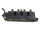 Bobina de encendido FIAT Punto Evo (199_) 1.2 51 kW 2009-2012