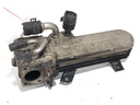 Enfriador EGR VW Golf V (1K1) 1.9 TDI 77 kW (105 CV) 2003-2008