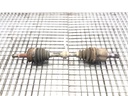 Palier delantero izquierdo NISSAN ALTIMA (L31) 2.5 130 kW 2001-2006