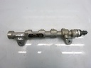 Rail de inyección Fiat Bravo II Doblo Linea 1.6 D 198A3000 55234039