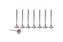 8x Válvula de admisión Mercedes-Benz W203 W211 1.8 CGI 271.921 271.940 2710530001