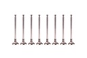 8x válvulas de escape Mercedes Benz W203 W211 1.8 CGI 271.921 271.940 2710500027