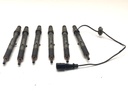 Juego de inyectores VW Passat B5.5 (3B3) 2.5 TDI 4motion 132 kW (180 CV) 2003-2005