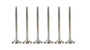 6x Válvula de escape BMW Serie 1 F20 F21 116 118 i 1.5 B38 B38A15A 11348621264