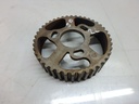 Rueda de árbol de levas Citroën Peugeot Fiat 1.9 D WJY DW8B