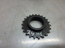 Rueda dentada Renault Grand Scenic 2 II 1.9 dCi F9Q812