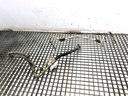 Maneta de aire acondicionado Opel Zafira / Zafira Family B (A05) 1.9 CDTI 2005-2015