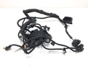 Mazo de cables de motor BMW Serie 3 (F30, F80) 2011-2018