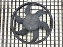 Ventilador del radiador FIAT Panda (169_) 1.1 40 kW 2003-2022