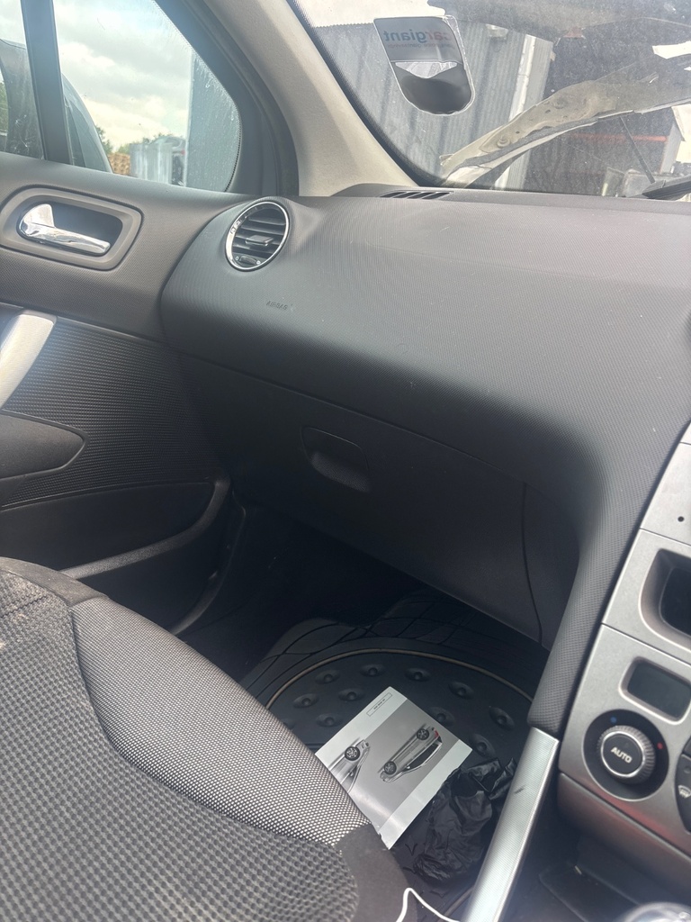 [EPE-125363] Guantera Peugeot 308 MK1
