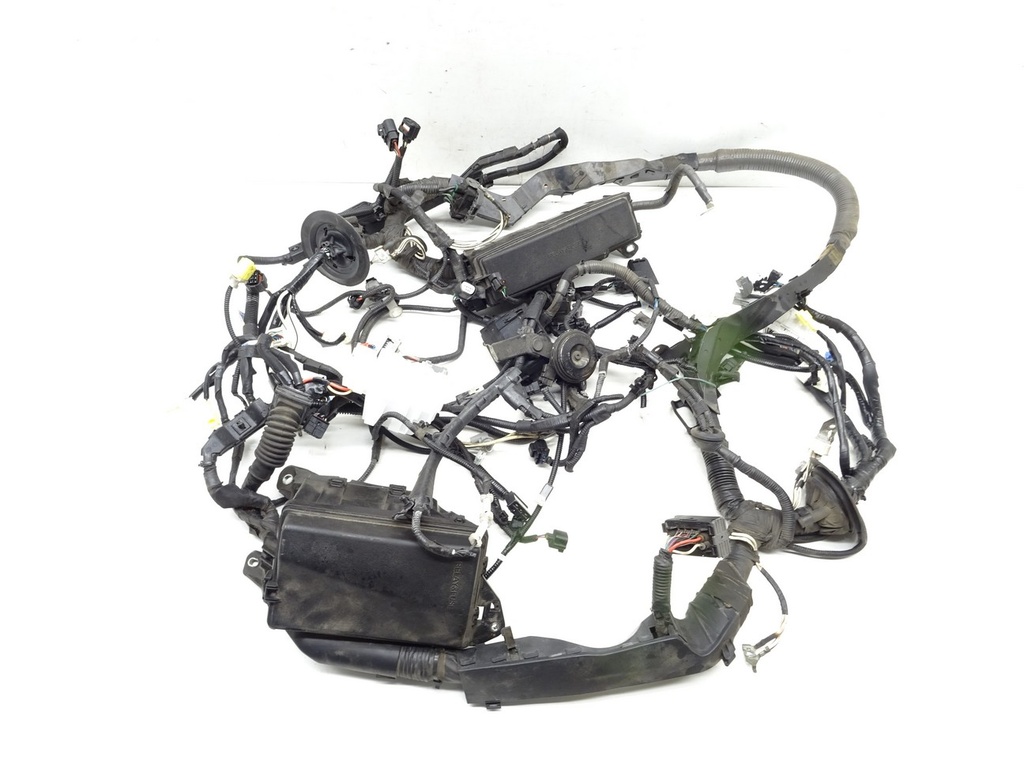 [STARK-417556] Mazo de cables de motor LEXUS RC (_C1_) 2014-2022 F (USC10_) 351 kW