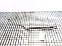 Manguera de dirección asistida SEAT IBIZA III (6L1) 1.4 TDI 55 kW 2002-2005