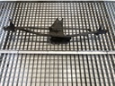 Mecanismo limpiaparabrisas delantero Ford Transit Autobus 2000-2006