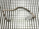 Mando de aire acondicionado VW Passat B6 Variant (3C5) 2.0 TDI 2005-2011