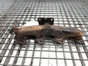 Colector de escape Renault Koleos I 2.0 dCi 110 kW 82443150