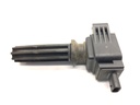 Bobina de encendido Ford Escape III 2.0 Ecoboost 2012-2019