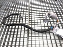 Mando de aire acondicionado Lexus GS (S19)