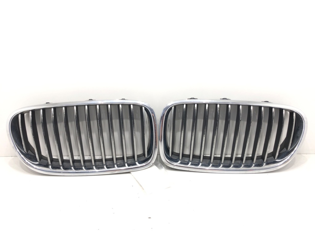 [STARK-616509] Rejilla de parachoques BMW 5 Touring (F11)