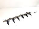 Riel de combustible BMW X5 (E53) 3.0 i 231 CV 2000-2006