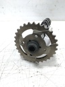 Árbol de levas Audi A6 3.0 TFSI