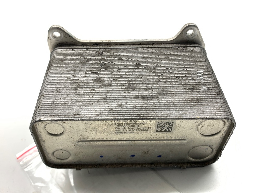 [STARK-879361] Núcleo de calefacción Tesla Model Y (5YJY) 2019-2022