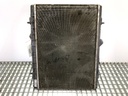 Radiador de refrigeración DS 4