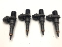 Juego de inyectores VW Golf V (1K1) 1.9 TDI 105 CV